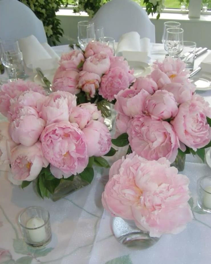Wedding Flowers: From Palette to Petals